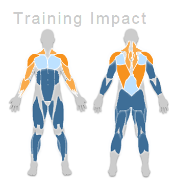 [تصویر:  training%20impact-rows.png]