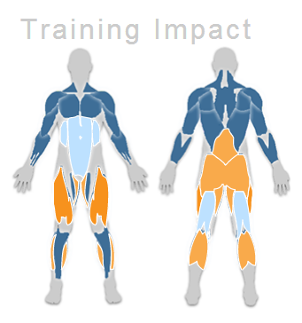 [تصویر:  training%20impact-squat.png]